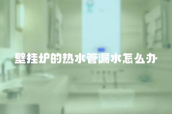 壁掛爐的熱水管漏水怎么辦