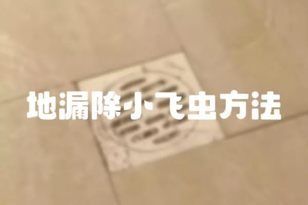 地漏除小飛蟲方法
