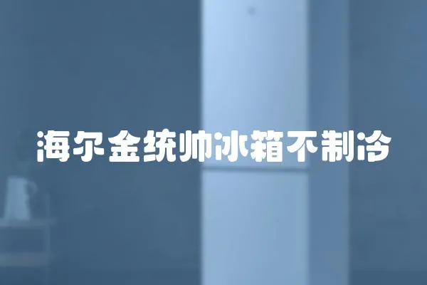 海爾金統帥冰箱不制冷