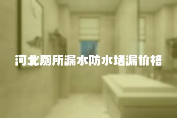 河北廁所漏水防水堵漏價(jià)格