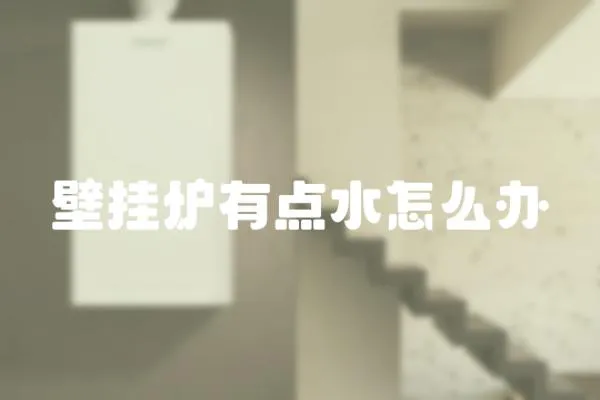 壁掛爐有點水怎么辦