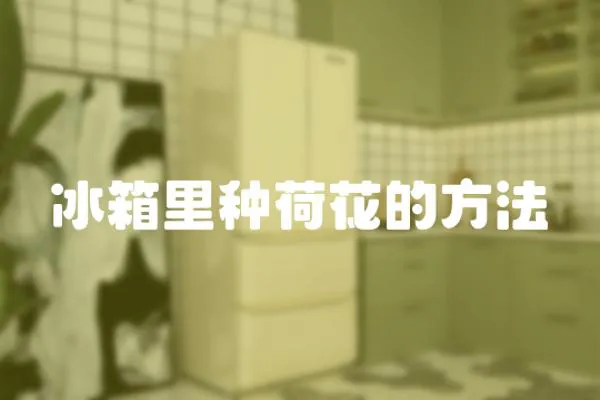 冰箱里種荷花的方法