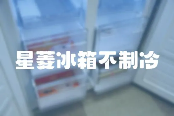 星菱冰箱不制冷