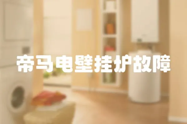 帝馬電壁掛爐故障