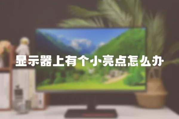 顯示器上有個小亮點怎么辦