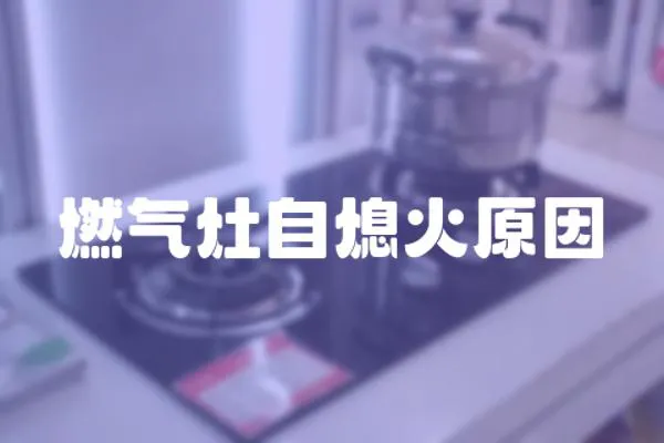 燃?xì)庠钭韵ɑ鹪?></a></div>
                    </div>
                    <div   id=