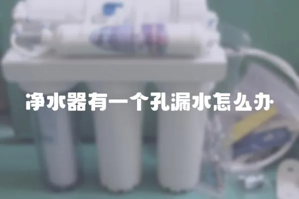 凈水器有一個孔漏水怎么辦