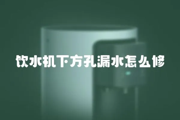 飲水機下方孔漏水怎么修