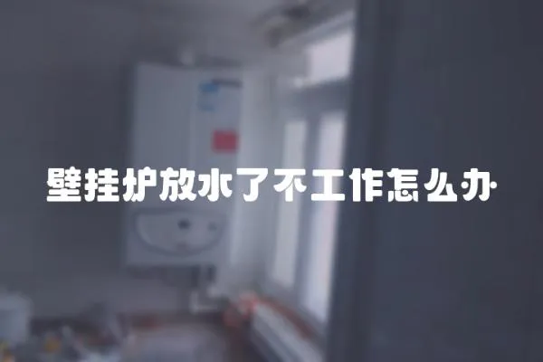 壁掛爐放水了不工作怎么辦