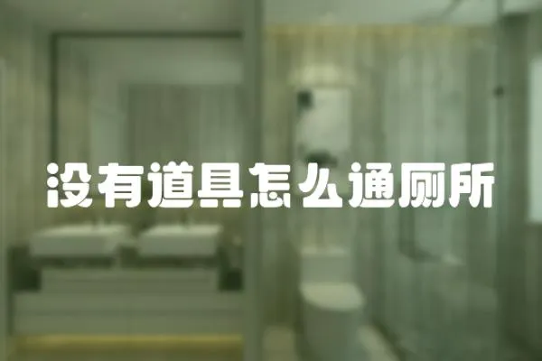 沒有道具怎么通廁所