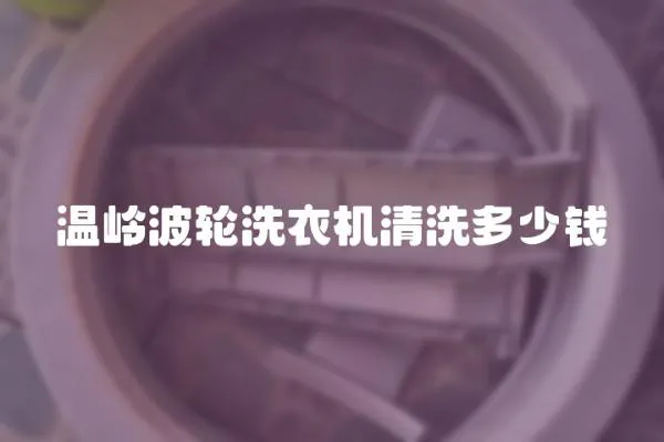 溫嶺波輪洗衣機(jī)清洗多少錢