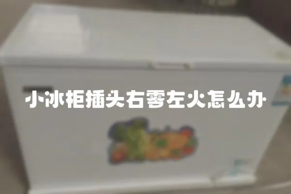 小冰柜插頭右零左火怎么辦