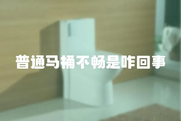 普通馬桶不暢是咋回事