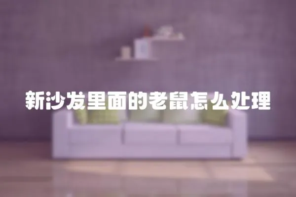 新沙發里面的老鼠怎么處理