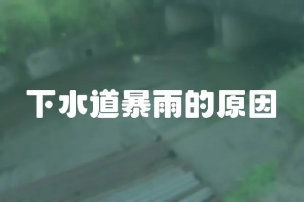 下水道暴雨的原因