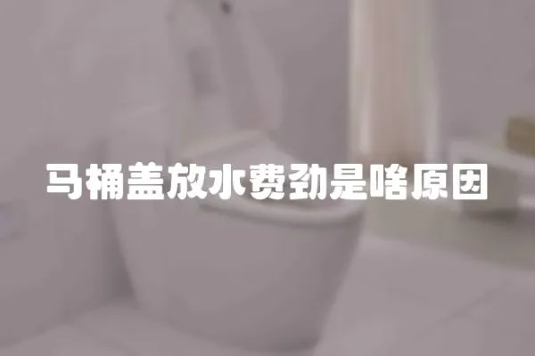 馬桶蓋放水費勁是啥原因