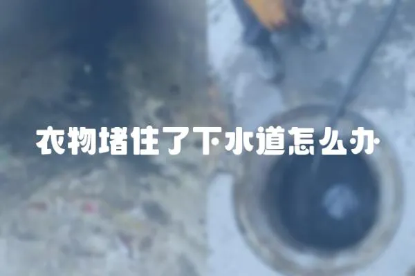 衣物堵住了下水道怎么辦