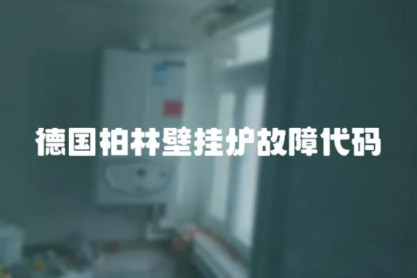 德國柏林壁掛爐故障代碼