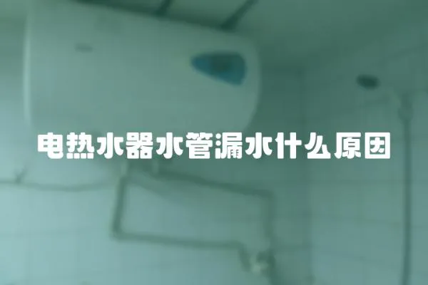 電熱水器水管漏水什么原因