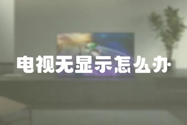 電視無顯示怎么辦