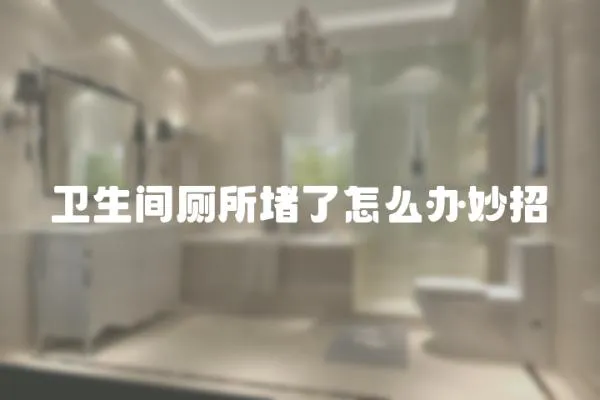 衛生間廁所堵了怎么辦妙招