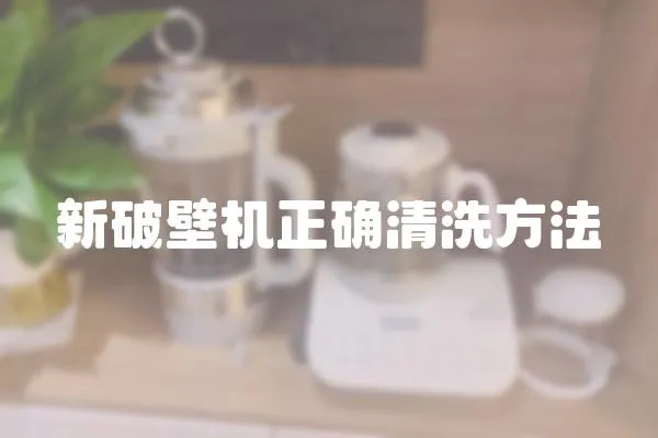 新破壁機正確清洗方法