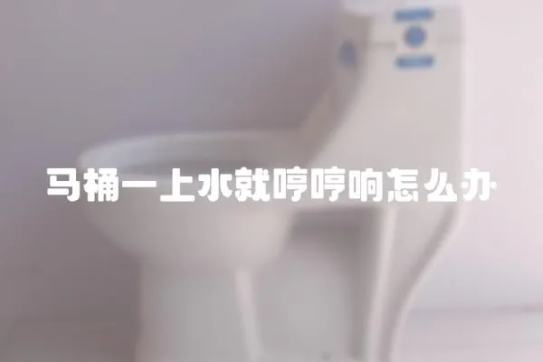馬桶一上水就哼哼響怎么辦