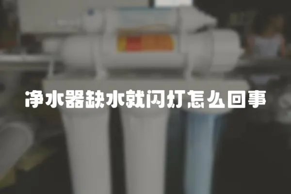 凈水器缺水就閃燈怎么回事