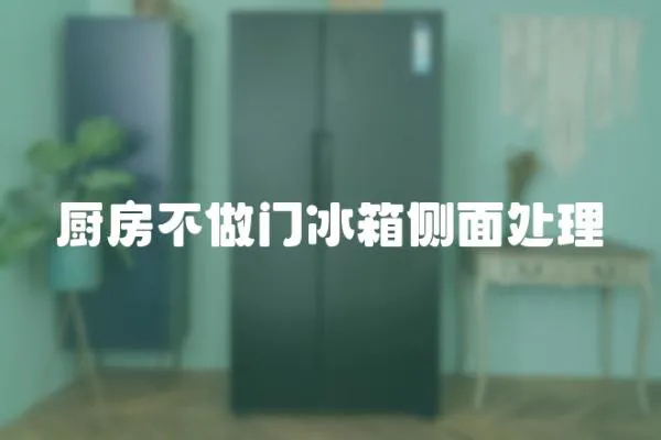 廚房不做門冰箱側(cè)面處理