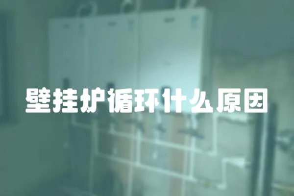 壁掛爐循環什么原因