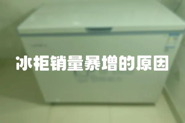冰柜銷量暴增的原因