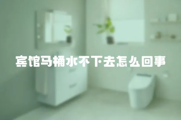 賓館馬桶水不下去怎么回事