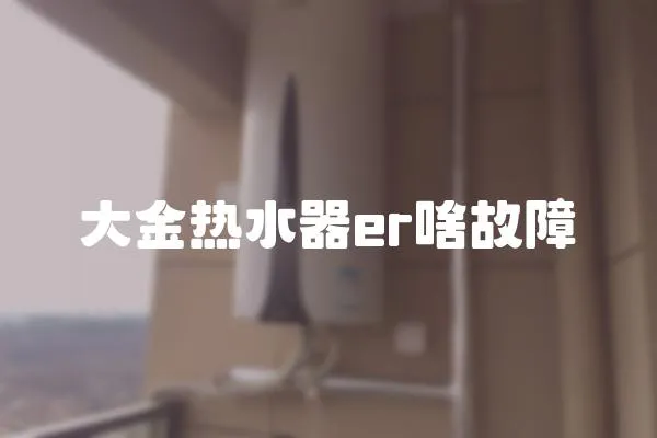 大金熱水器er啥故障