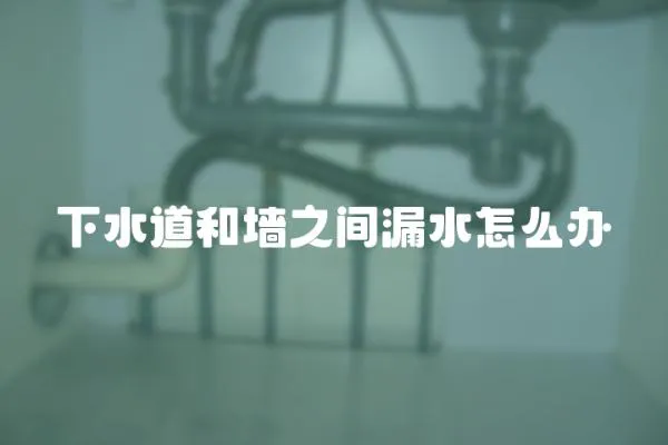 下水道和墻之間漏水怎么辦