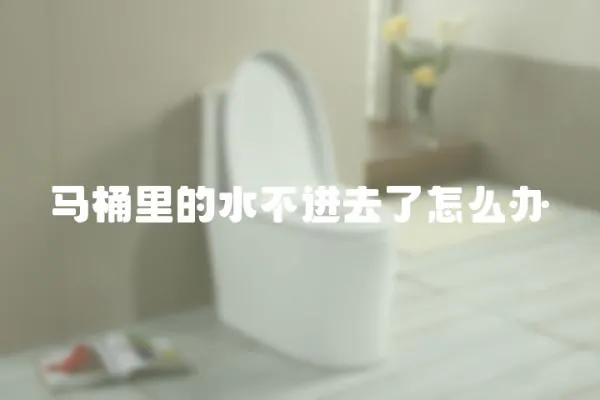馬桶里的水不進去了怎么辦