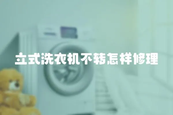 立式洗衣機(jī)不轉(zhuǎn)怎樣修理