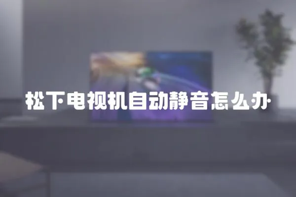 松下電視機自動靜音怎么辦
