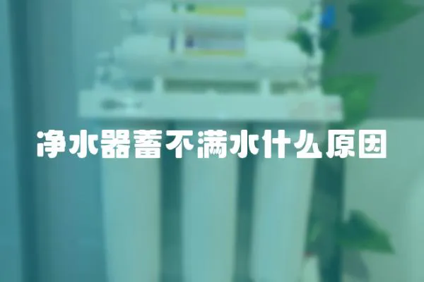 凈水器蓄不滿水什么原因