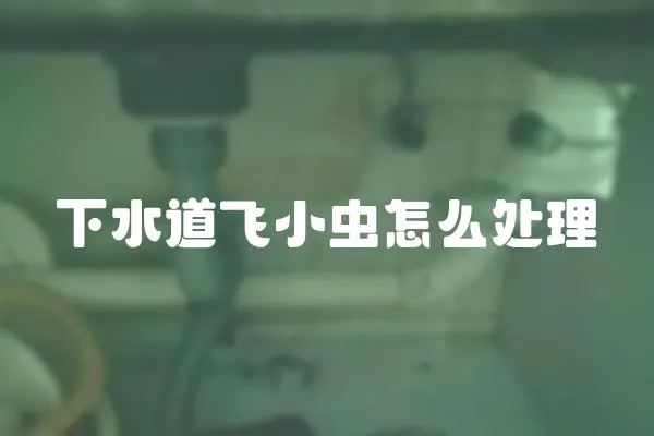下水道飛小蟲(chóng)怎么處理