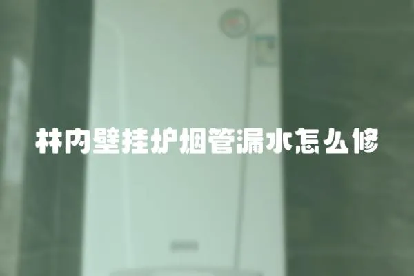 林內(nèi)壁掛爐煙管漏水怎么修