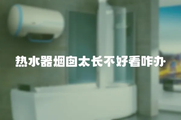 熱水器煙囪太長不好看咋辦