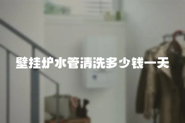 壁掛爐水管清洗多少錢一天