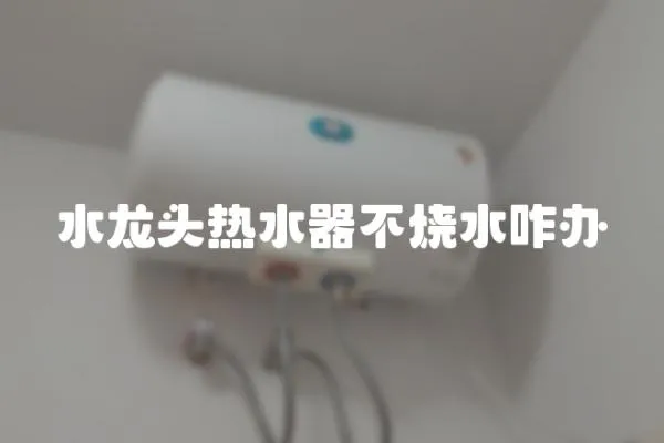 水龍頭熱水器不燒水咋辦