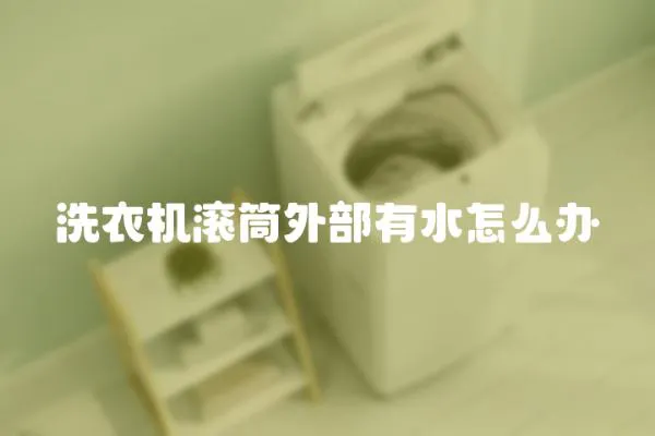 洗衣機滾筒外部有水怎么辦