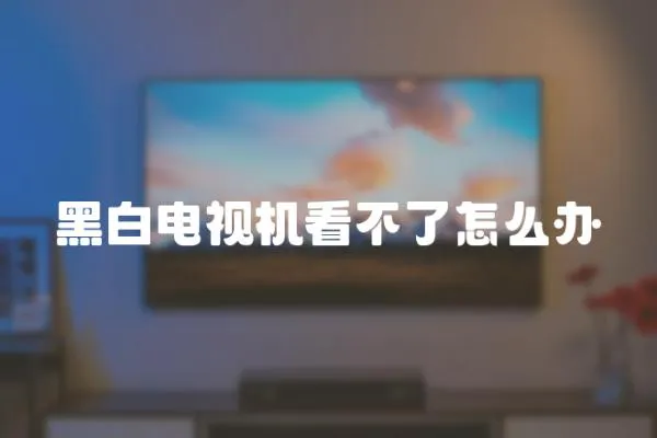 黑白電視機看不了怎么辦