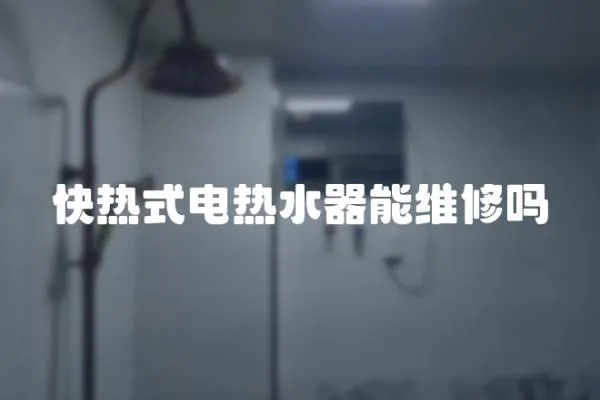 快熱式電熱水器能維修嗎
