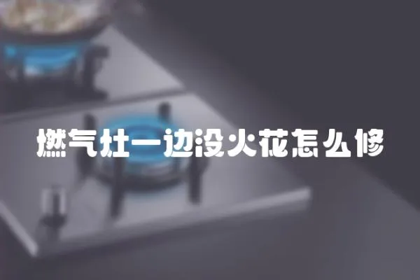 燃?xì)庠钜贿厸](méi)火花怎么修