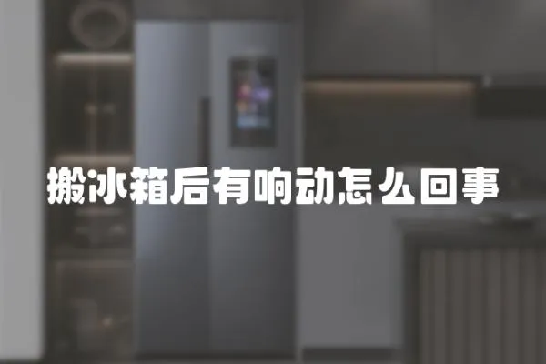 搬冰箱后有響動怎么回事