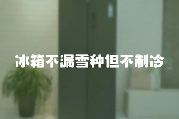 冰箱不漏雪種但不制冷