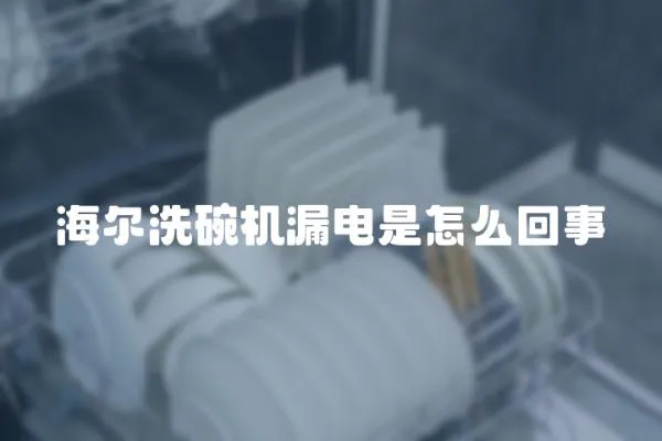 海爾洗碗機漏電是怎么回事